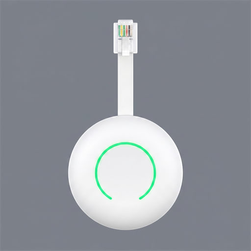 HomeWizard P1